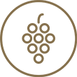 Journée découverte des vins de 9h00 à 15h00 - Logo
