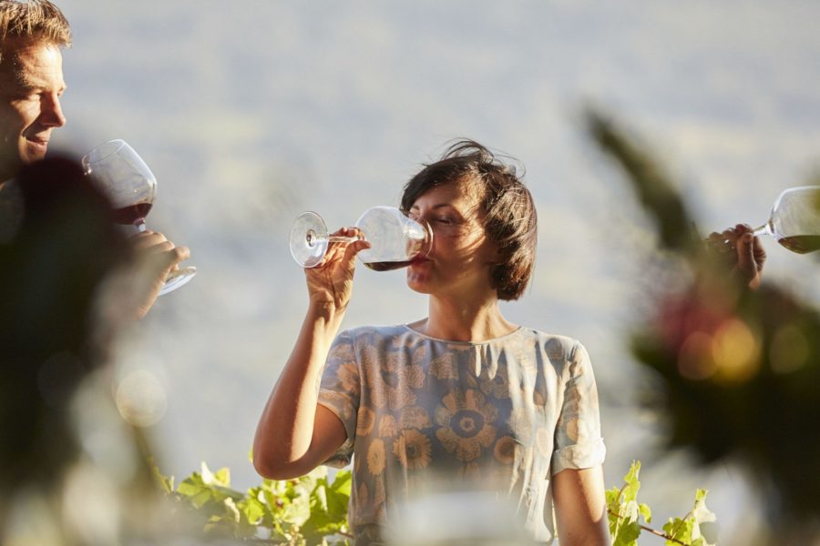 Devenir un expert en vin