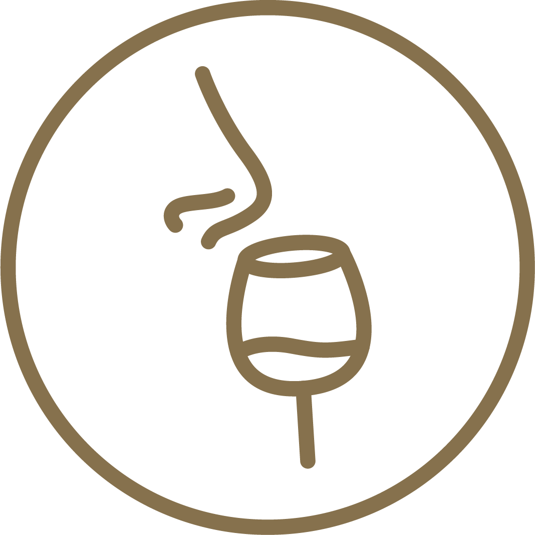 Devenir un expert en vin - Logo