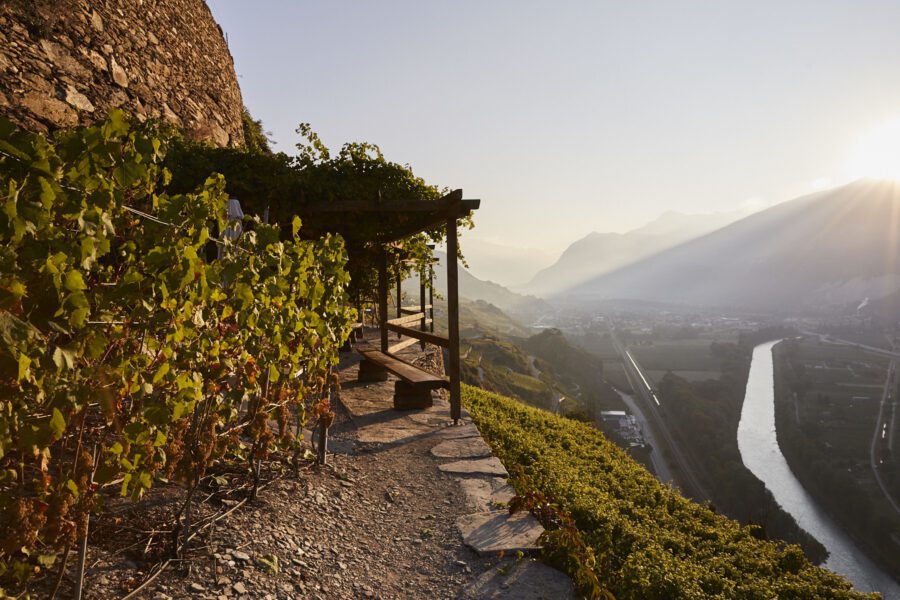 Clos de Cochetta